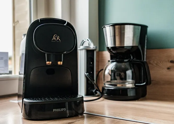 Apartment Magnifique Duplex 3 Proche Centre-ville Et Gare Chemin Du Barrage *